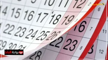 رسميًا.. جدول الإجازات الرسمية المتبقية لعام 2025 تعرف على أيام عطلاتك القادمة لموظفي القطاعين 1